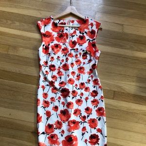 Eci poppy bodycon dress Sz 6